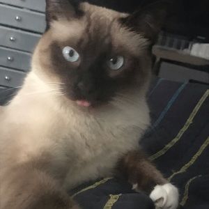 Meet your Posher, Bri